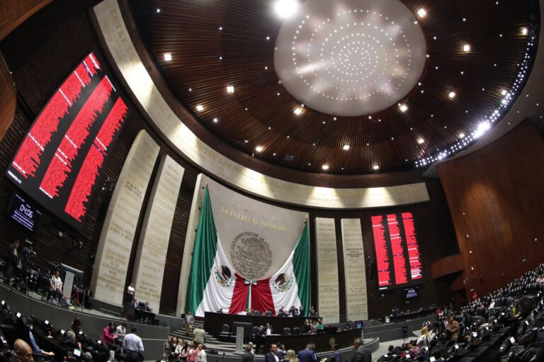 La Cámara de Diputados aprobó sancionar hasta con quince años de prisión a quien infiera lesiones con ácido