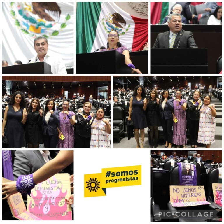 Cumple PRD con su línea política ¡Ningún violentador, llegará al poder!