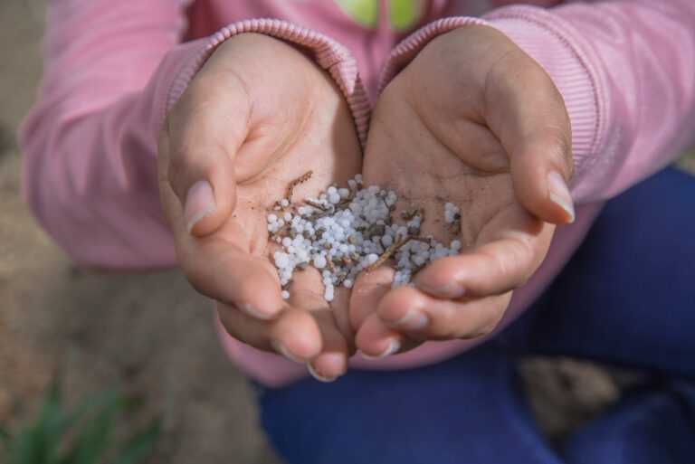 Apoya Agricultura a más de 160 mil agricultores mexiquenses con fertilizante gratuito