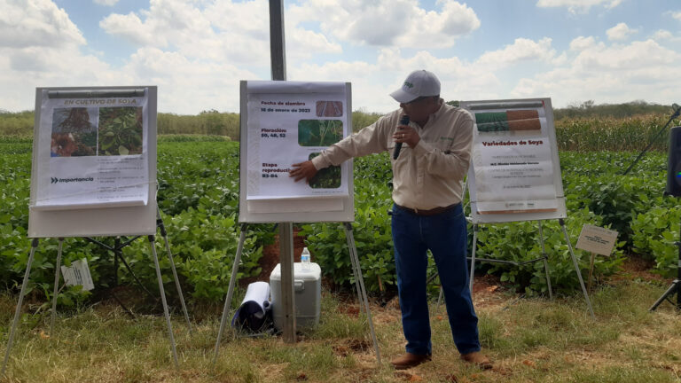 Capacita Agricultura a productores de Belice para incrementar los rendimientos de sus cultivos de soya