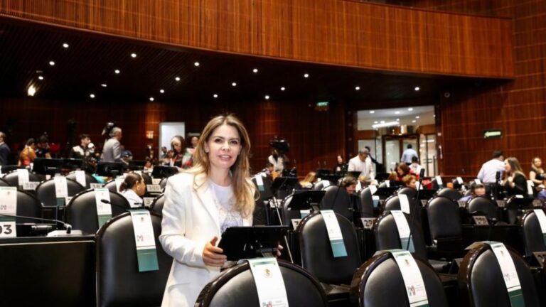 Llama Laura Barrera a que SEP consulte sobre contenido en libros de texto