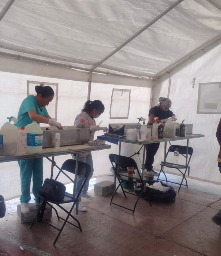 En Tecámac se realizarán ocho jornadas de esterilización de perros y gatos durante el mes de abril