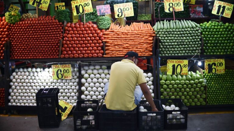 Crecimiento del comercio mundial se desacelerará a 1.7% en 2023: OMC