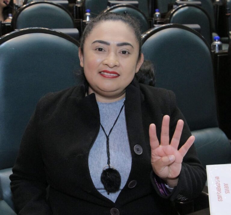 Seguro de Desempleo lucha impulsada por la izquierda, no es idea novedosa de la candidata del PRI: Carmen de la Rosa