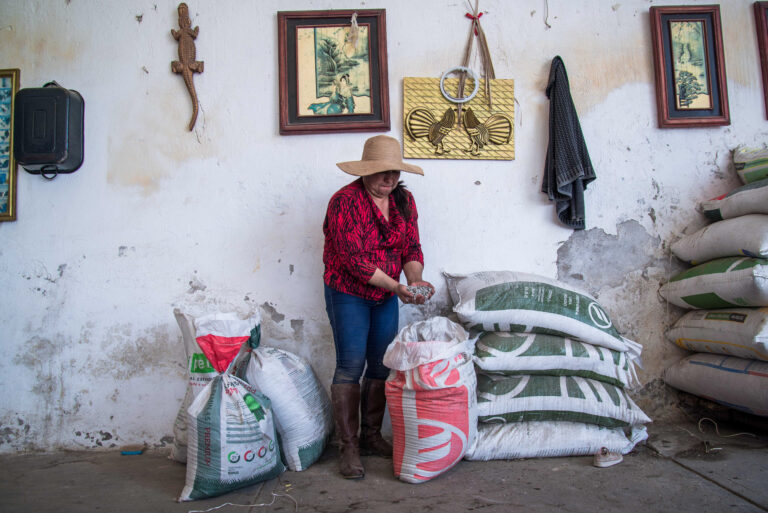 Llevará Agricultura fertilizantes gratuitos a más de 45 mil productores en Guanajuato