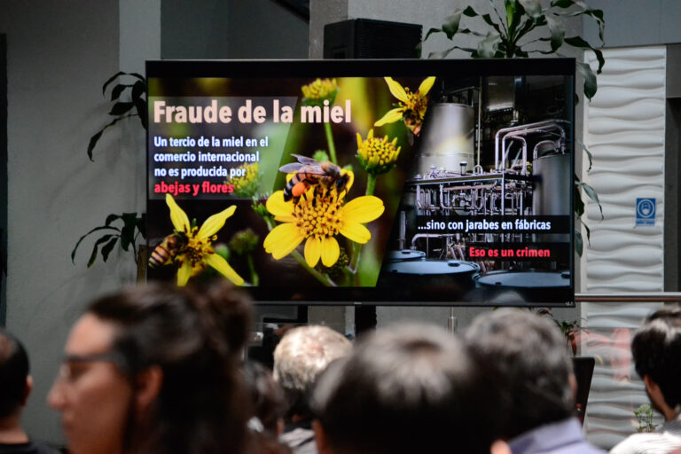 Población rural y urbana, obligada a proteger a las abejas: Víctor Suárez Carrera