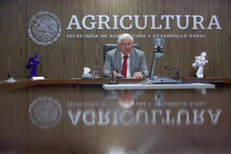 Trabaja México en un sistema alimentario justo, accesible, saludable y sustentable para la población: Agricultura