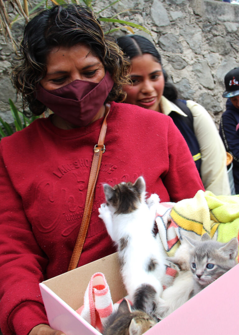 Realiza Huixquilucan cerca de 400 esterilizaciones de mascotas para atender la salud pública