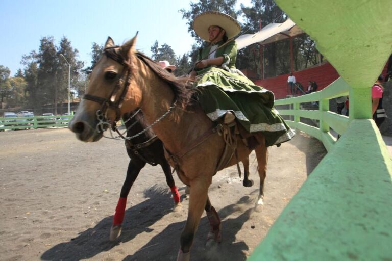Tlalpan fomenta oficios de charrería, carpintería y herrería en CAO