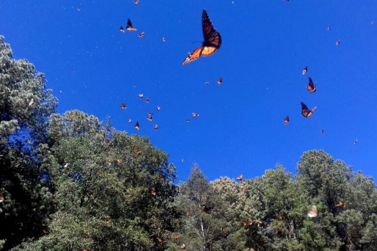 Conserva Donato Guerra pasado Mazahua y riqueza natural
