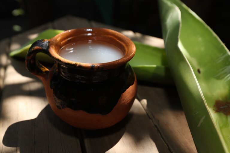 Destaca ruta lugar de los dioses por su riqueza cultural y gastronómica