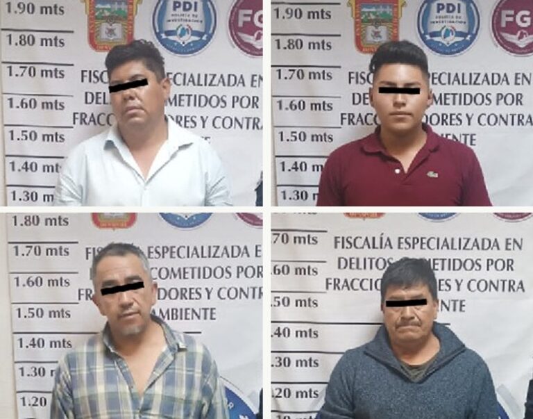 Detienen a ocho sujetos por delitos contra el ambiente en Naucalpan