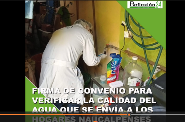 #CápsulaR24 #Noticias #Hoy #PicaduraAbejas #Xochimilco #PolicíasSanAndrésCholula