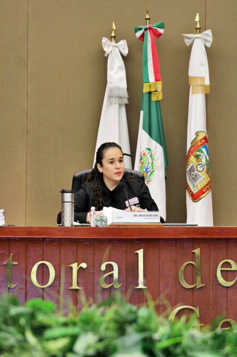 Brinda IEEM certeza en los resultados de la elección: Amalia Pulido