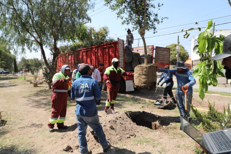 Realizan en Tecámac jornadas de arborización para promover el cuidado del medio ambiente