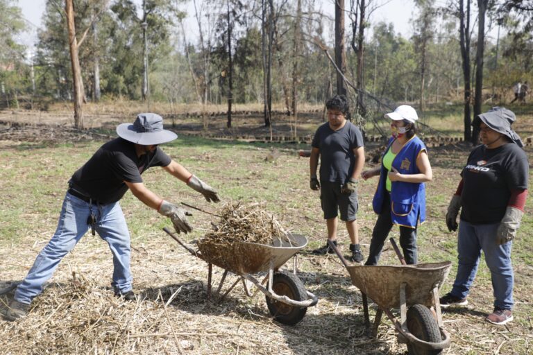 Restauran Parque La Hoja, afectado por plagas e incendios