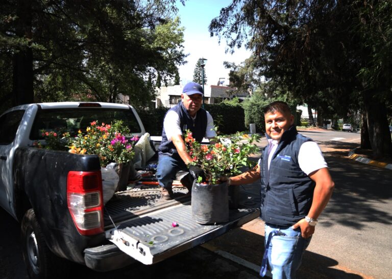 Inician jornadas de reforestación en Huixquilucan