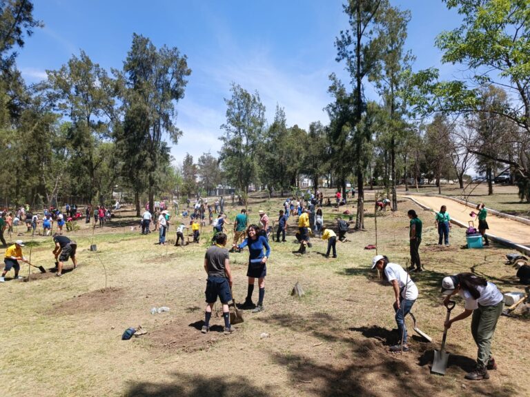 Reforestan Parque Naucalli con más de 500 árboles frutales