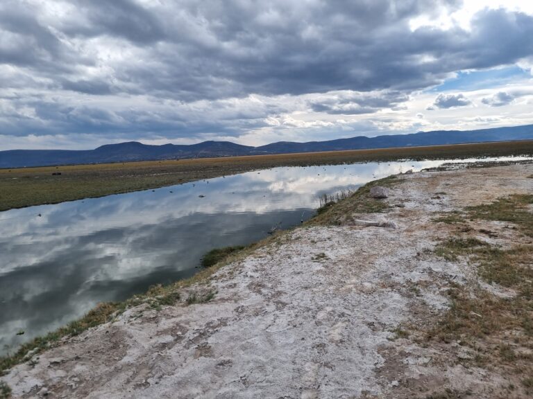 Comisión de Cambio Climático se reúne con asociaciones civiles para fortalecer la agenda legislativa ambiental