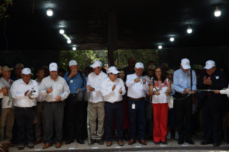 Conmemora Agricultura Día Nacional de la Sanidad Vegetal 2023