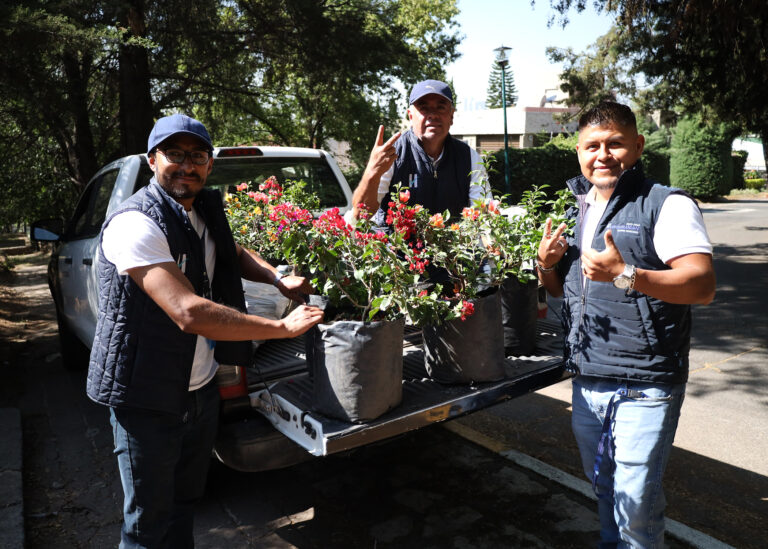 Reforestan áreas urbanas en Huixquilucan