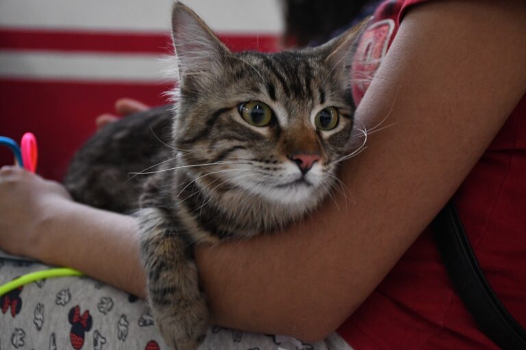 Llama Salud Edoméx a la población a participar en la jornada nacional de Prevención de las Rickettsiosis