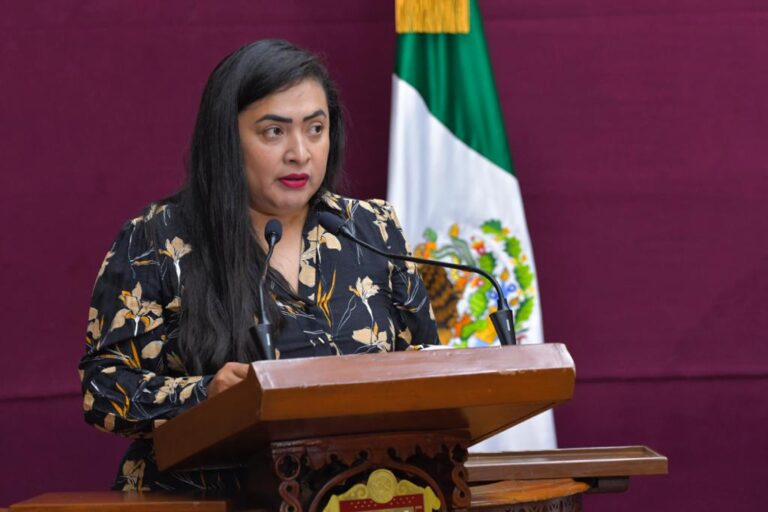 Urgente aprobar Ley de Regulación e Impulso de Mercados Públicos y Centrales de Abasto: Carmen de la Rosa