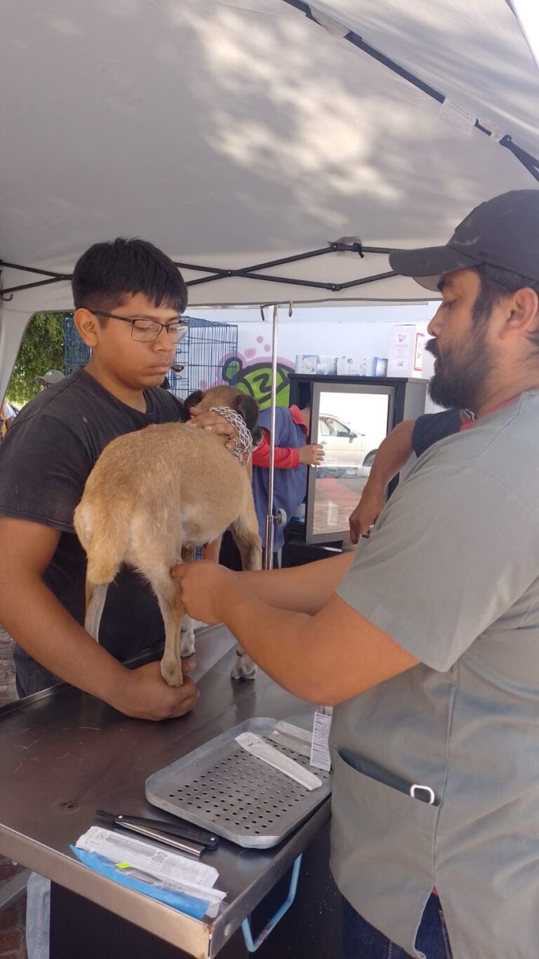 Promueve Senador Armenta derechos de las mascotas y el respeto a la vida animal