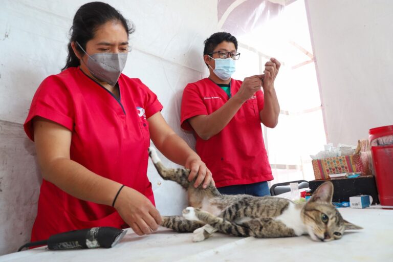 Dif Tlalnepantla acerca el servicio gratuito de esterilización de mascotas a las comunidades