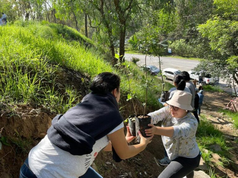 Realizan jornada de reforestación en Los Remedios