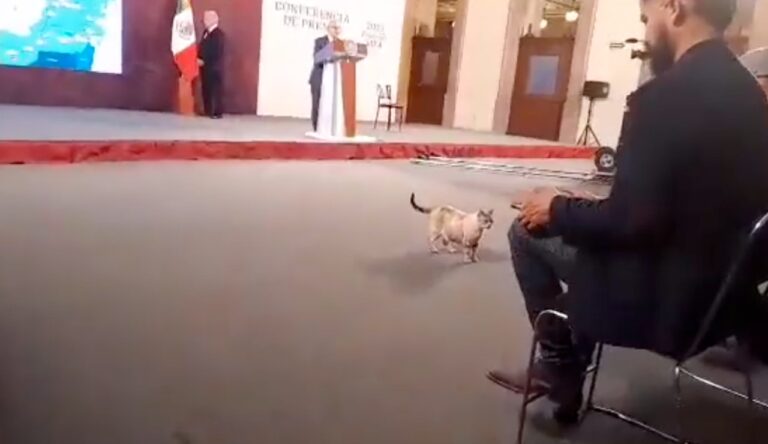 Zeus se pasea por la ‘mañanera’