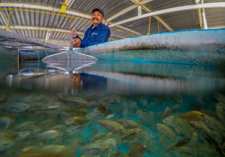 Aumenta en 10.3 millones la población en seguridad alimentaria de 2018 a 2022