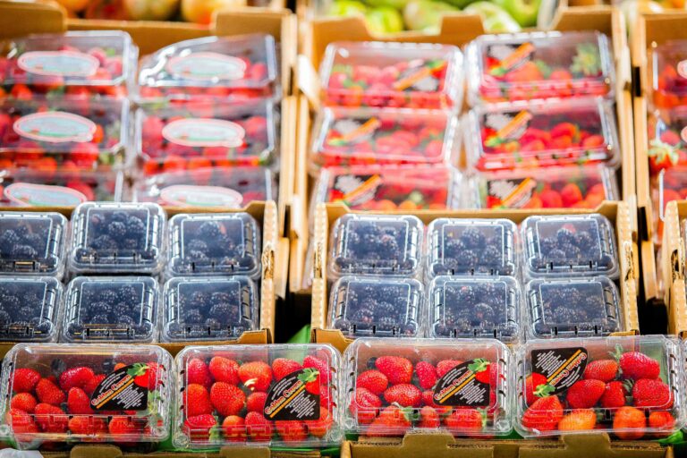 Registra balanza agroalimentaria superávit de cinco mil 311 millones de dólares en primer semestre