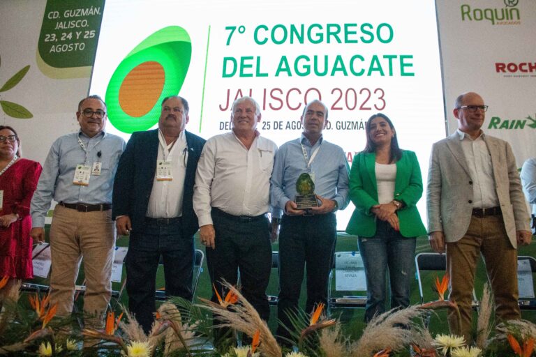 Trabaja Agricultura en ordenamiento del cultivo de aguacate, en favor del cuidado de los ecosistemas