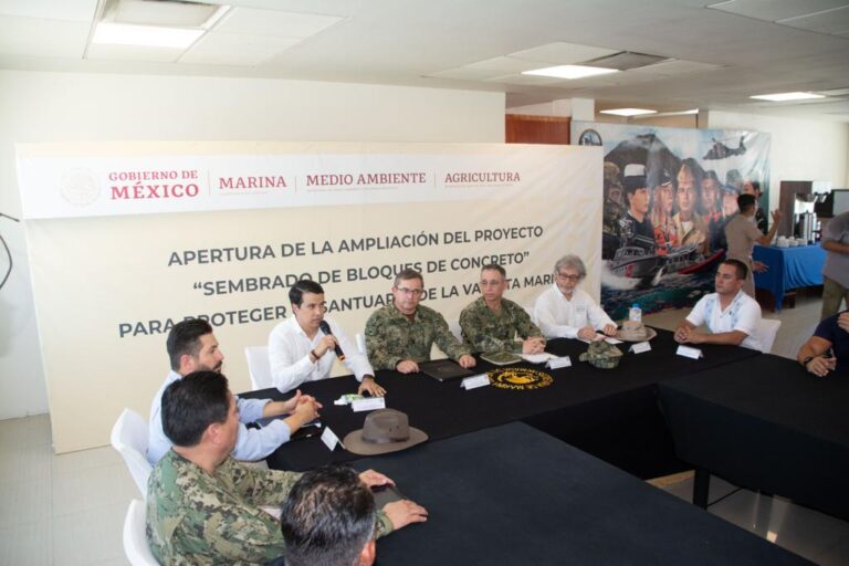 Inicia la ampliación del proyecto “sembrado de bloques de concreto” para proteger el santuario de la vaquita marina