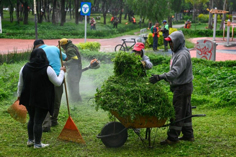 Luce Paseo de las Marinas nueva imagen por trabajos de deshierbe y limpieza