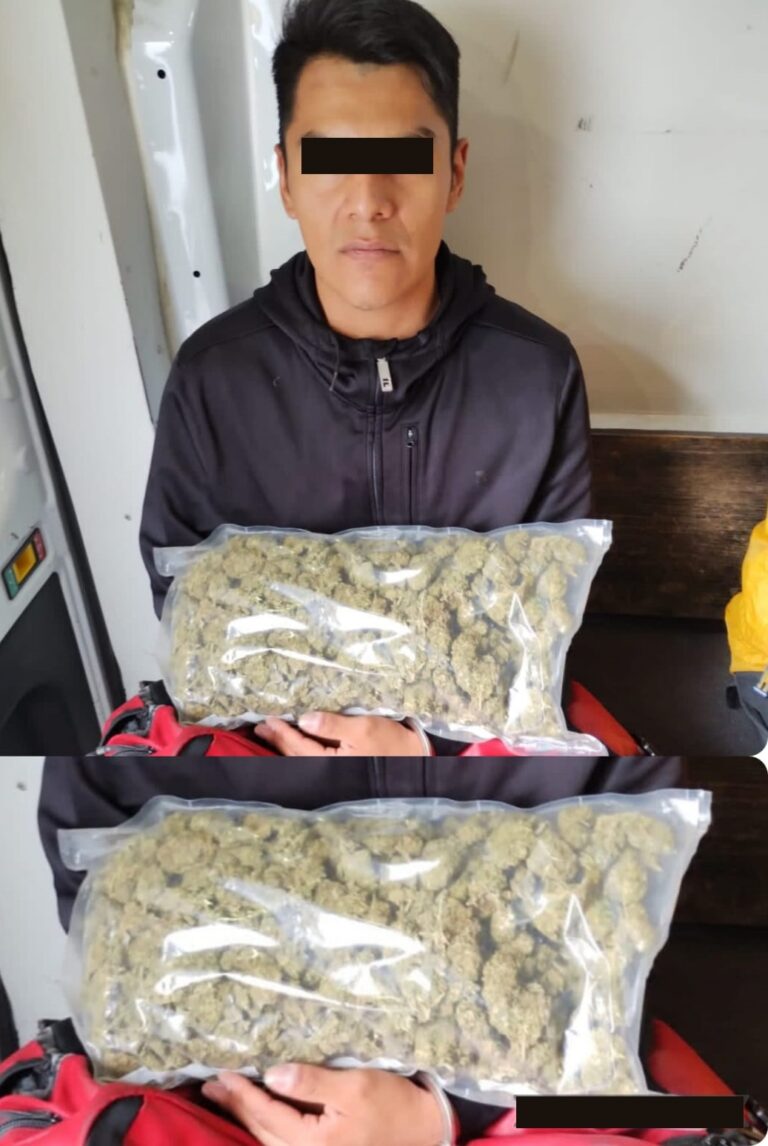 En Naucalpan perro policía detecta bolsa llena de marihuana en unidad de transporte