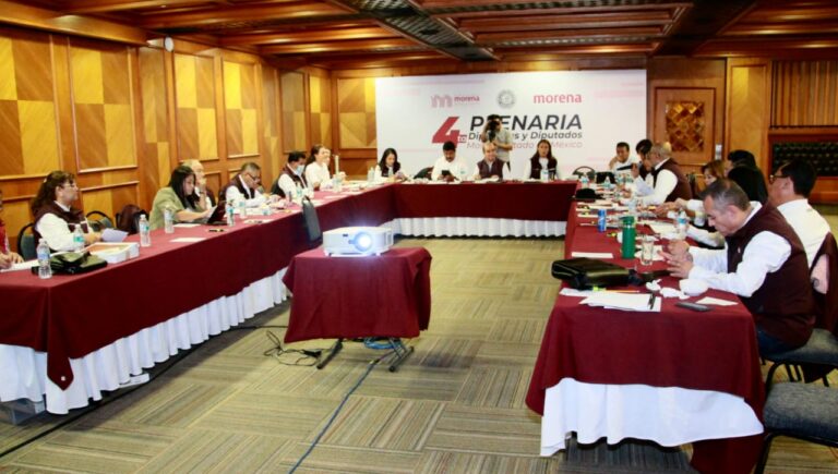 Agua y seguridad, temas prioritarios en agenda parlamentaria de Morena