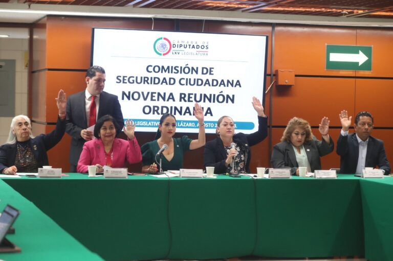 Aprueba Comisión reformas a las leyes de Seguridad Nacional y General del Sistema Nacional de Seguridad Pública