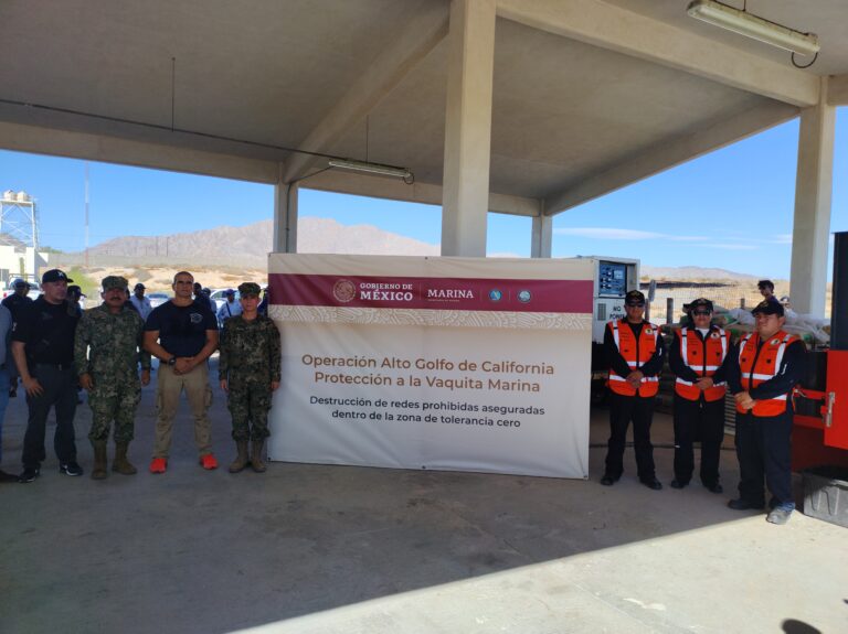 Se destruyen más de 15,000 metros de redes de pesca recuperadas en la Zona de Refugio para la protección de la vaquita marina