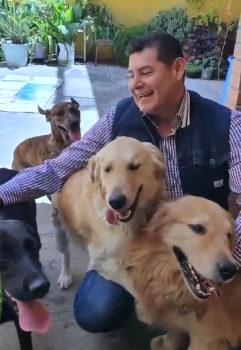 Urge unificar reformas que garantizan bienestar animal: Alejandro Armenta