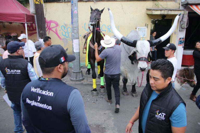 Tlalpan implementa operativo de seguridad y ley seca por fiestas patronales