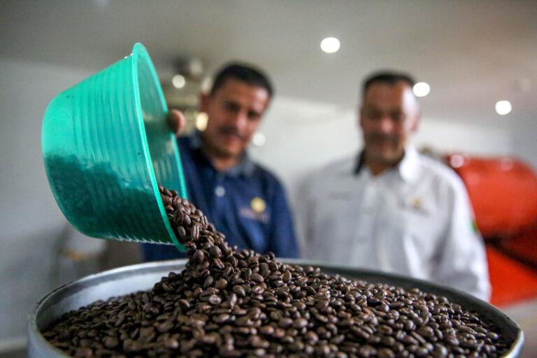 Registra balanza comercial agroalimentaria superávit de 5,908 mdd a agosto pasado