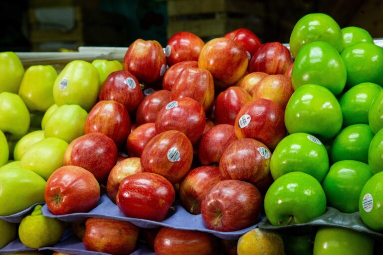 Declara Agricultura a regiones de Nayarit como zona de baja prevalencia de moscas de la fruta