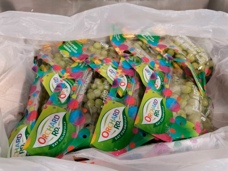 Registra producción de uva de mesa avance positivo: Agricultura