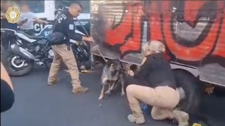 Rescatan a perrito que era arrastrado por un remolque en la Venustiano Carranza