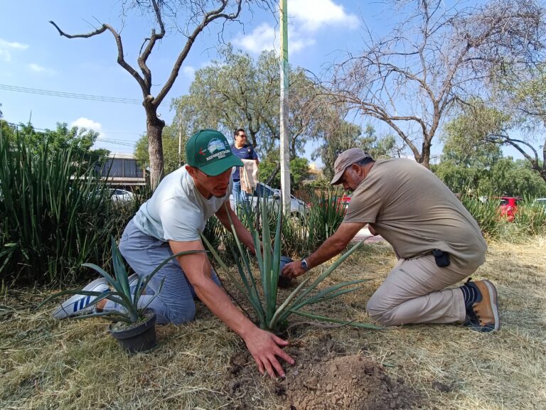 Reforestan parque ‘Correos’ de Ciudad Satélite