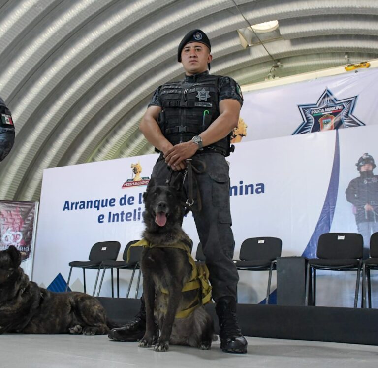 En marcha la primer Unidad Canina y de Inteligencia K9 de la policía municipal de Nezahualcóyotl: Adolfo Cerqueda