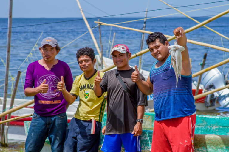 Anuncia Agricultura volumen de captura de pulpo rojo para Campeche y Yucatán, en la temporada 2023