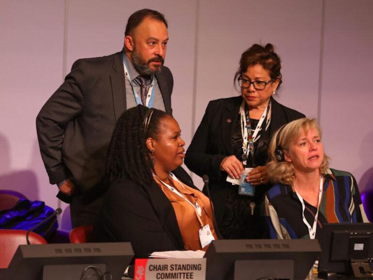 Comunidad internacional ordena nueva visita de observación a México por vaquita marina